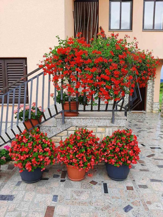Apartman Martina Kršan Exterior foto